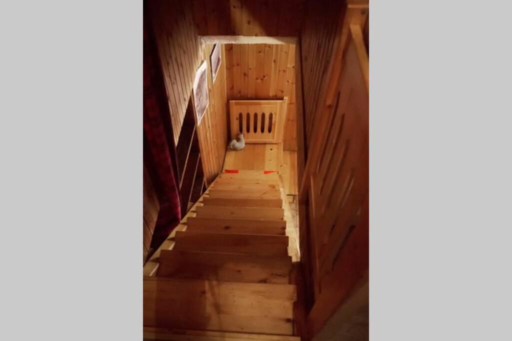 Chalet indipendente in centro a Valtournenche Buitenkant foto